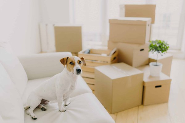 Le guide ultime pour choisir le legging de yoga parfait pour le style et le confort