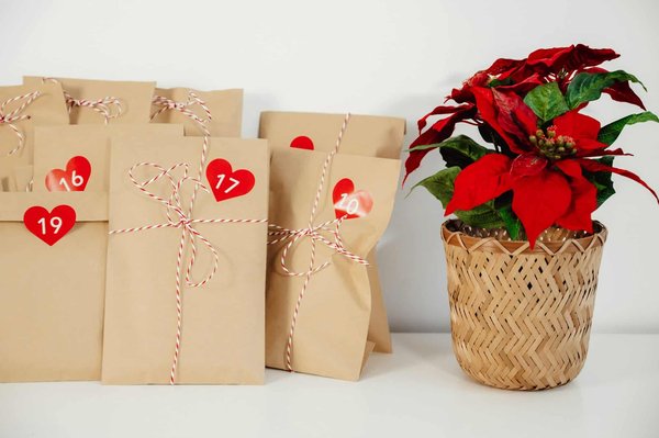 Quels sont les critères pour choisir un calendrier de l'avent de la beauté ?